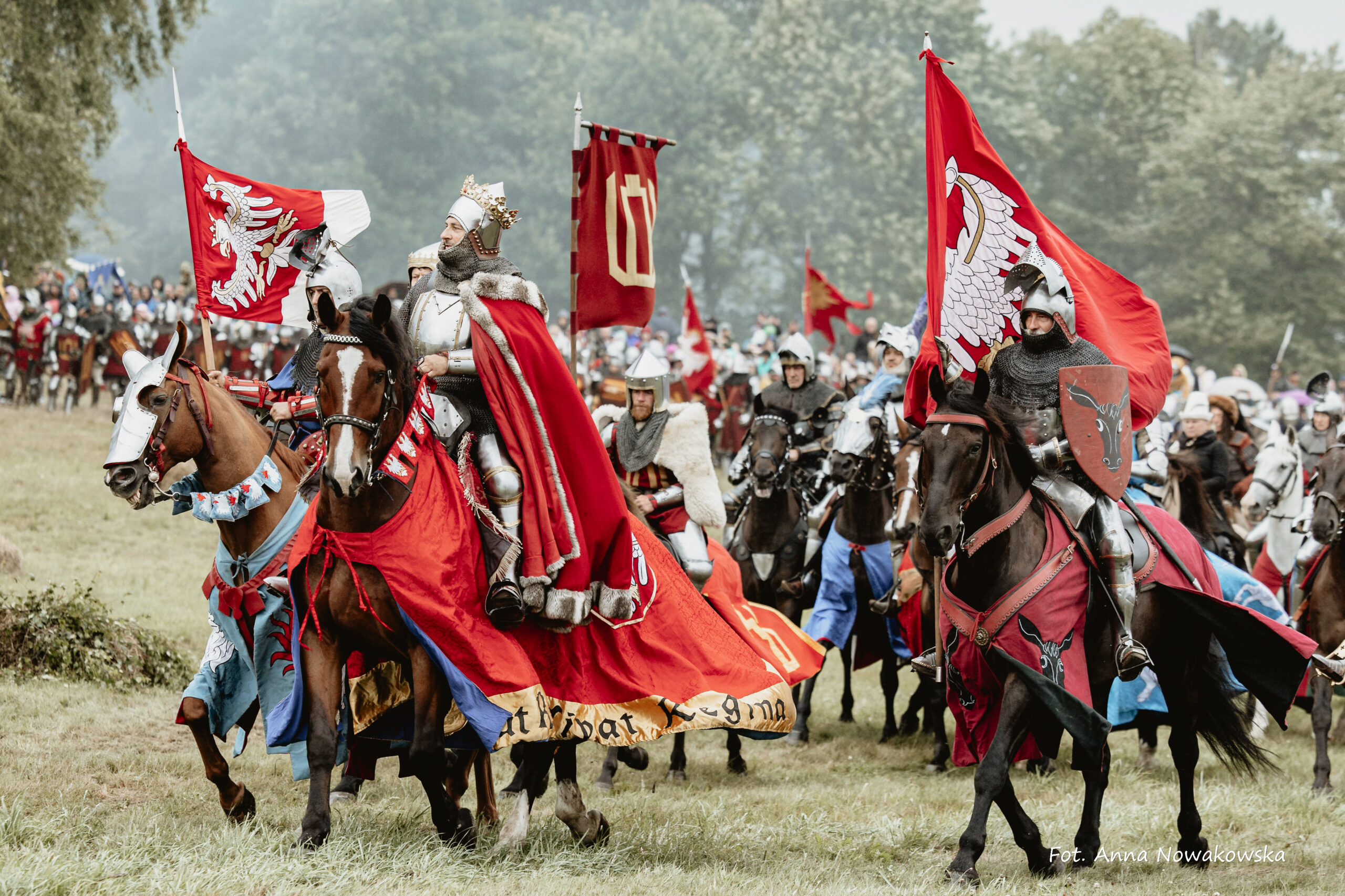Inscenizacja Bitwy pod Grunwaldem - na pierwszym planie konni rycerze w czerwonych płaszczach i z chorągwiami Królestwa Polskiego, w tle liczni uczestnicy rekonstrukcji historycznej w zbrojach i strojach.